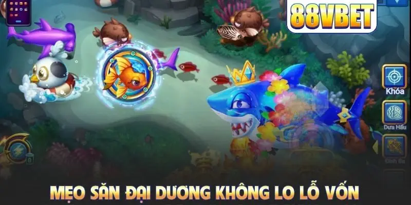 Mẹo săn đại dương không lo lỗ vốn